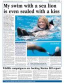 Meet Morgan the Californian Sealion